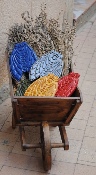 foto di Silvia C. turrin