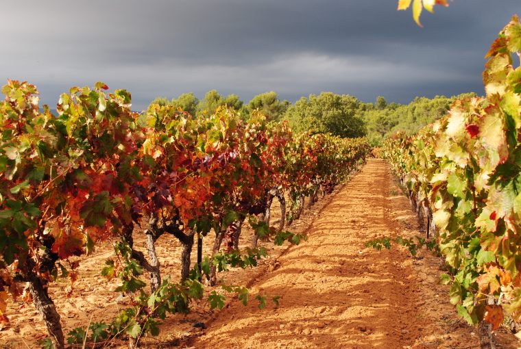 foto di Silvia C. Turrin