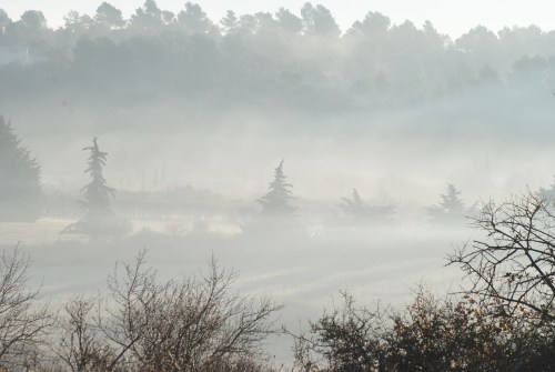 mattina di dicembre 2014-12-23 008