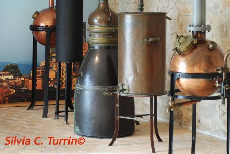 Grasse - alambicchi distillatori