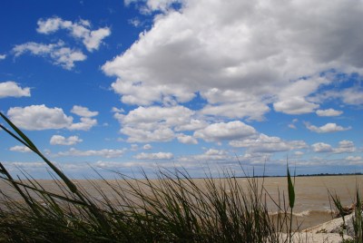 Camargue Festa dei Gitani 2013-05-24 118