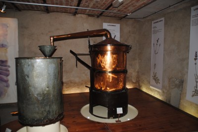 Salagon - esposizione dedicata alla lavanda