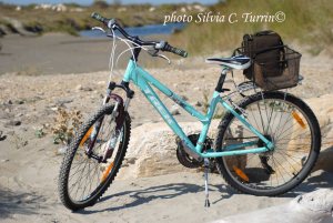 Camargue en velo 2014-09-26 109
