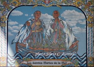 Camargue in inverno 2013 2013-11-28 206