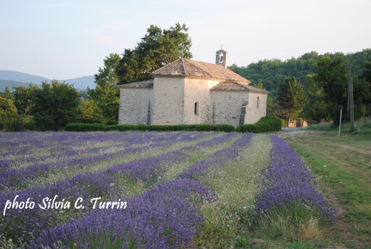 sulla strada della lavanda - Alpii dell'Alta Provenza