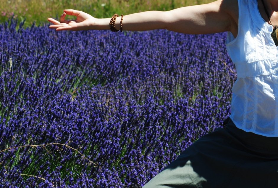 om-provenza-lavanda Mindfulness
