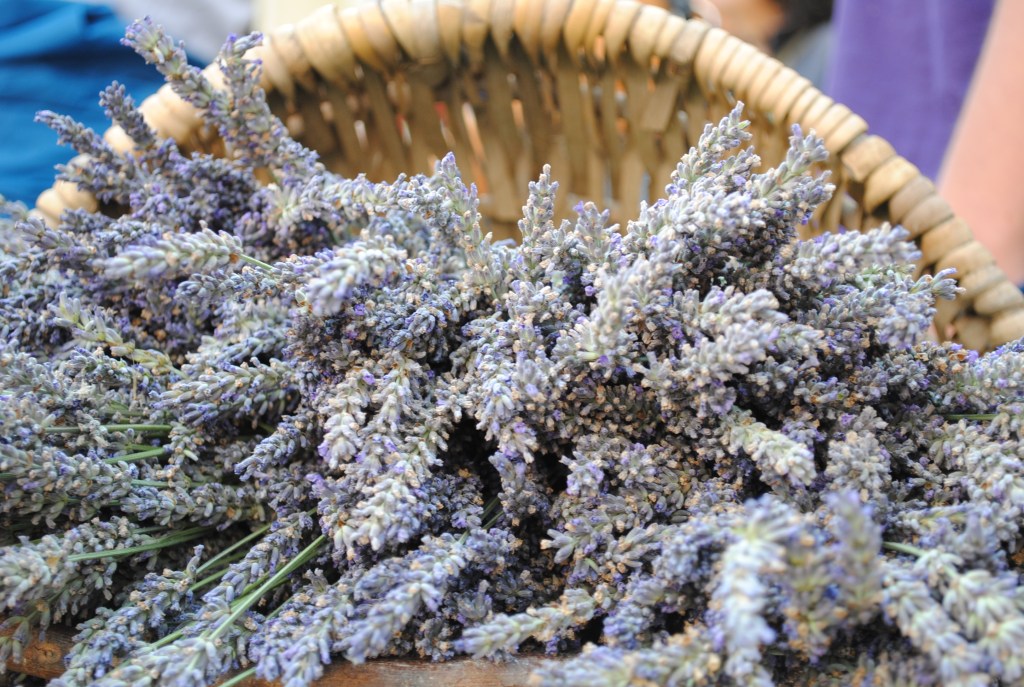 Valensole festa della lavanda Silvia C. Turrin