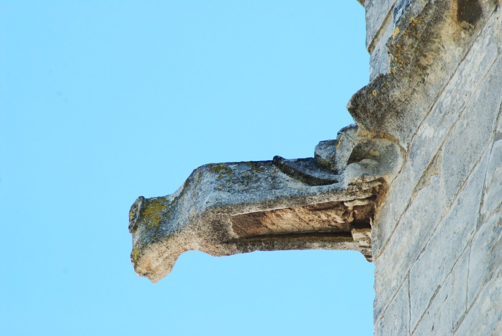 e le Vieux - photo Silvia C. Turrin